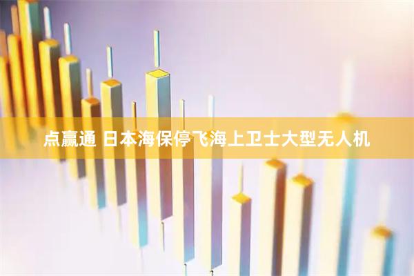点赢通 日本海保停飞海上卫士大型无人机