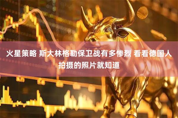 火星策略 斯大林格勒保卫战有多惨烈 看看德国人拍摄的照片就知道